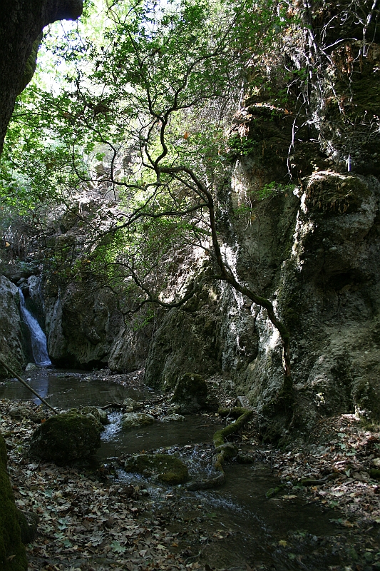 Rodos 2007 263